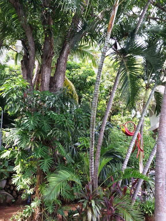 Villa Costa Chica Comodisimo Piscina Gigante Jardines Acapulco Exteriör bild
